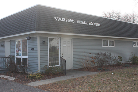 Take A Tour Of Our Stratford, Connecticut Veterinary Hospital ...