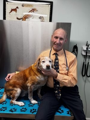 Homepage Behind the Scenes 1