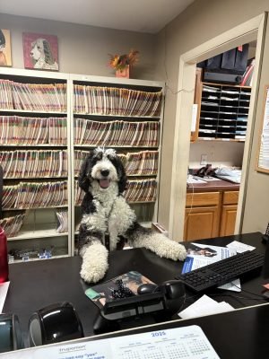 Homepage Behind the Scenes 2