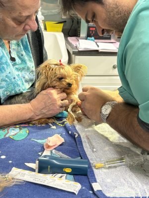 Homepage Behind the Scenes 3