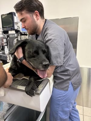 Homepage Behind the Scenes 5