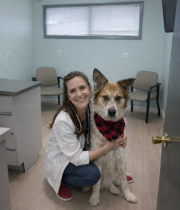 Main Preventative and wellness exams